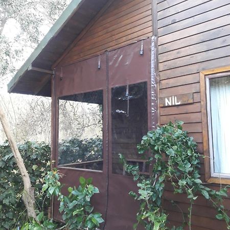 Bungalow Halil Çıralı المظهر الخارجي الصورة