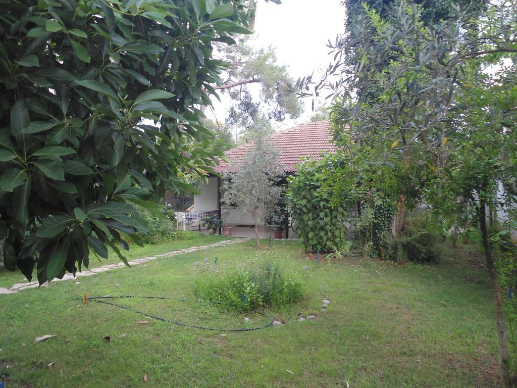 Bungalow Halil Çıralı الغرفة الصورة
