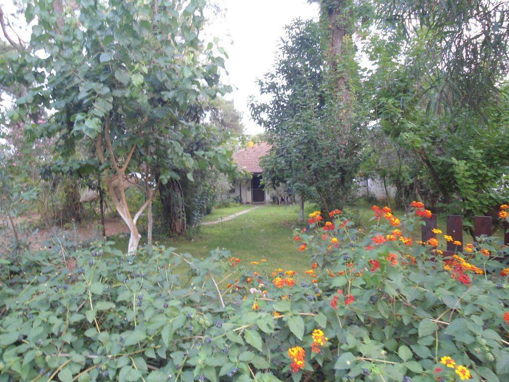 Bungalow Halil Çıralı الغرفة الصورة