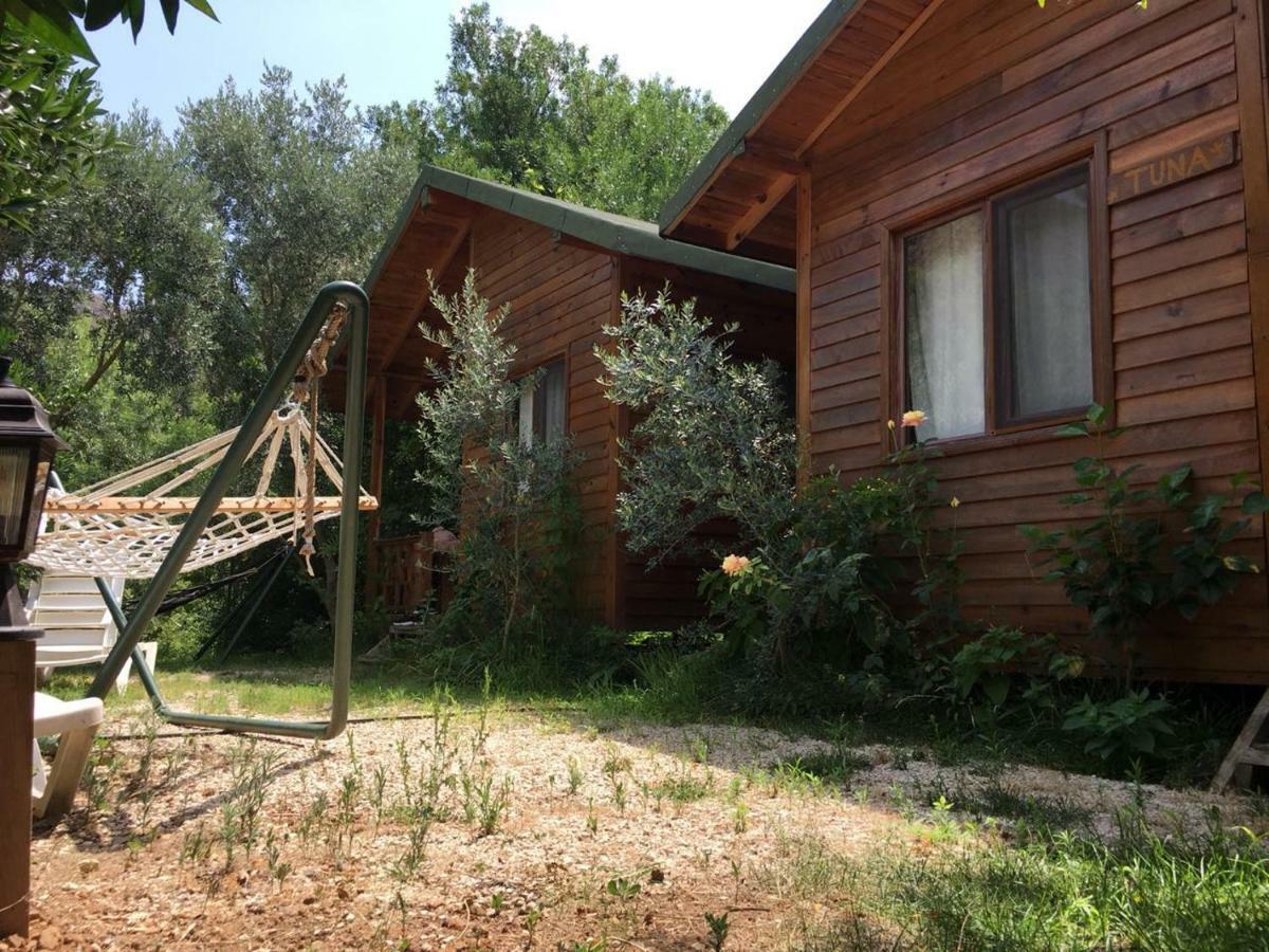 Bungalow Halil Çıralı المظهر الخارجي الصورة